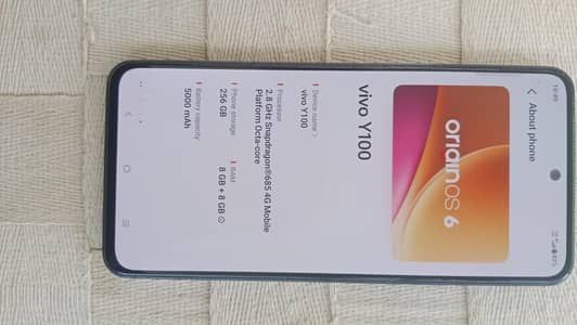 Vivo Y100