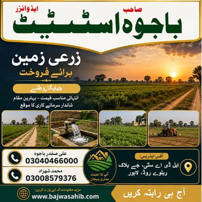 Cheap land for agriculture and farmhouse