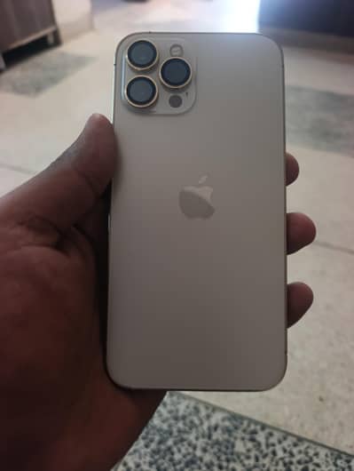 Apple iPhone 12 Pro Max