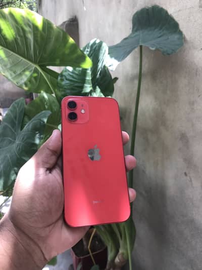 iPhone 12 128gb jv