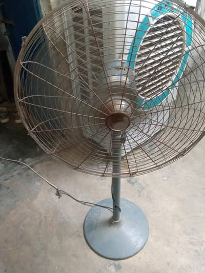 fans OK hae