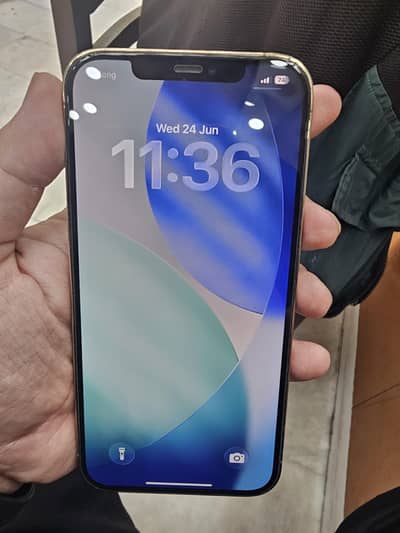 Apple iPhone 12 Pro Max