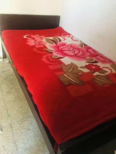 Single bed with Mattress