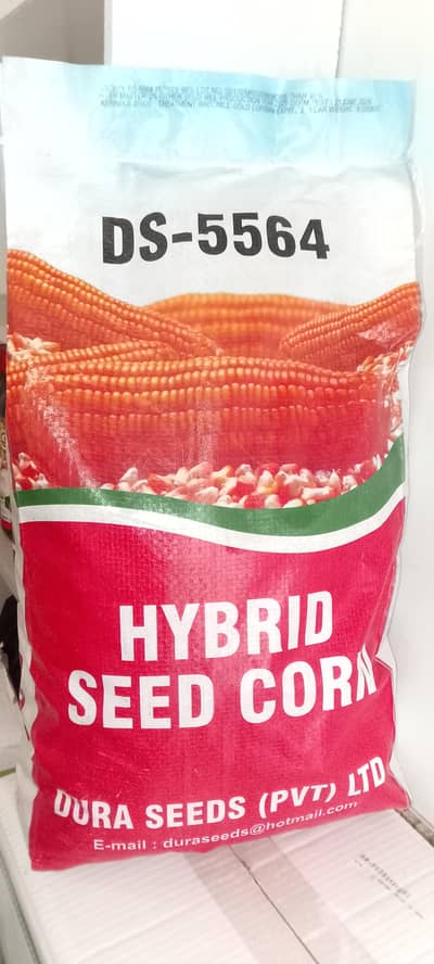 Dura seed