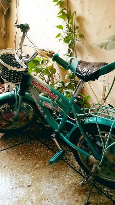 girls cycle 6to10 yrs
