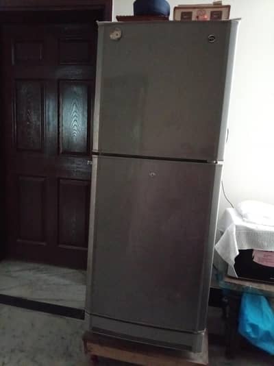 fridge medium size