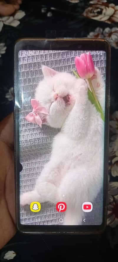 Samsung Mobile Note 9 Official Pta Aproved