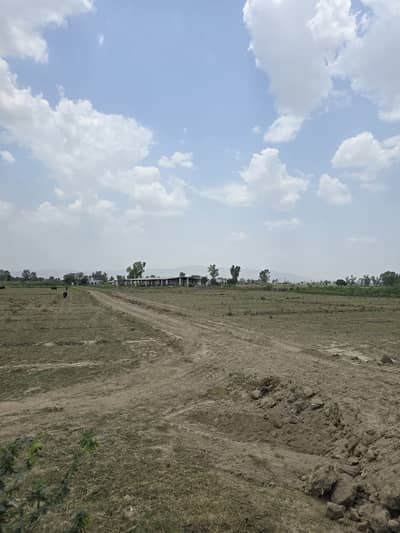 Agriculture and cow farm available for rent in Jehlum