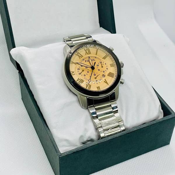 Luxury Silver Stainless Steel Analog Watch for Men | Roman Dial Quartz Wristwatch