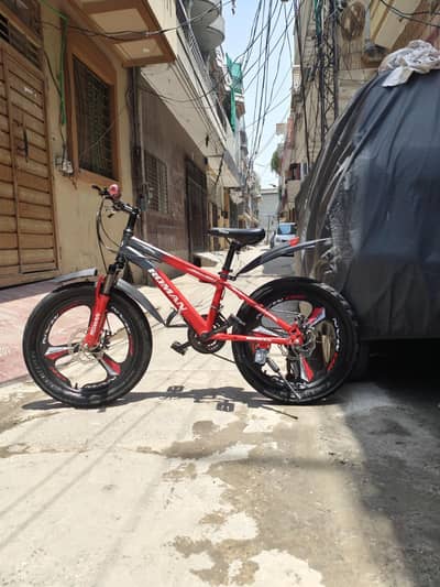 Roman bicycle 20