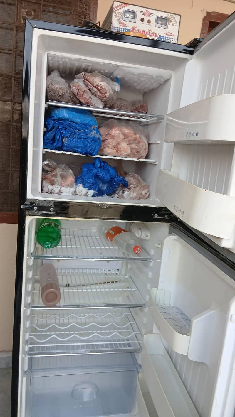 medium size fridge 2