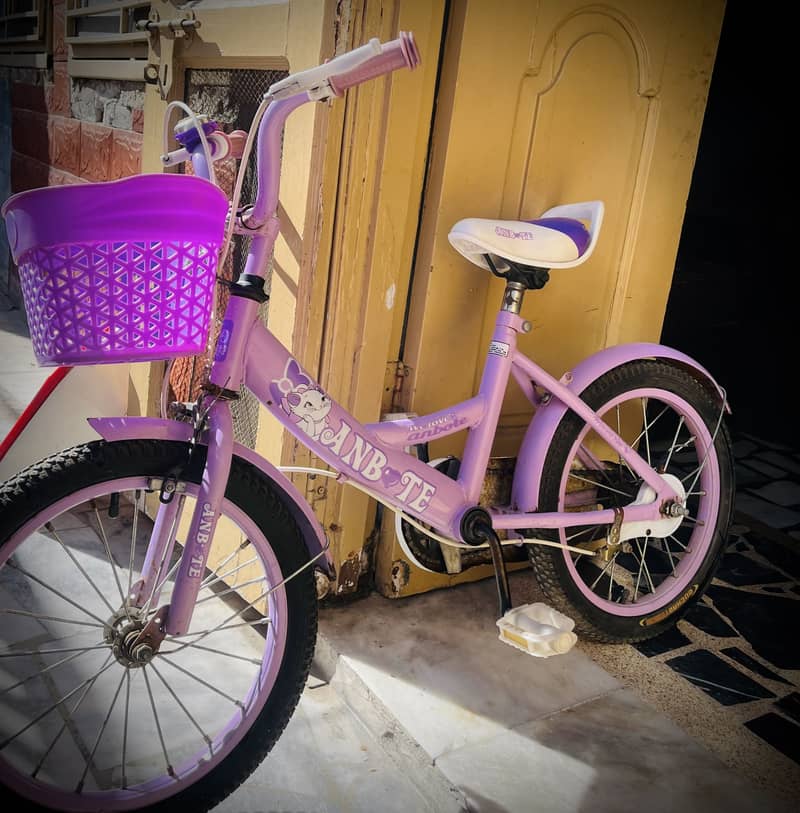 Bicycle 0