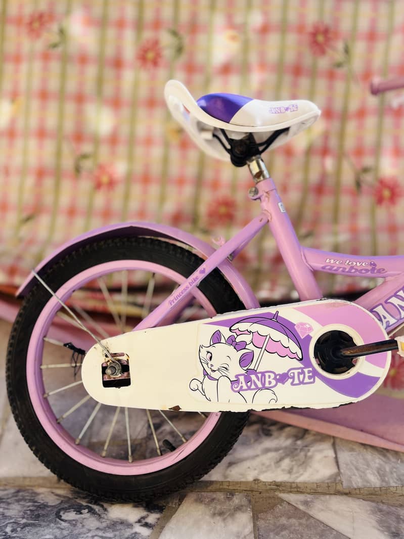Bicycle 1