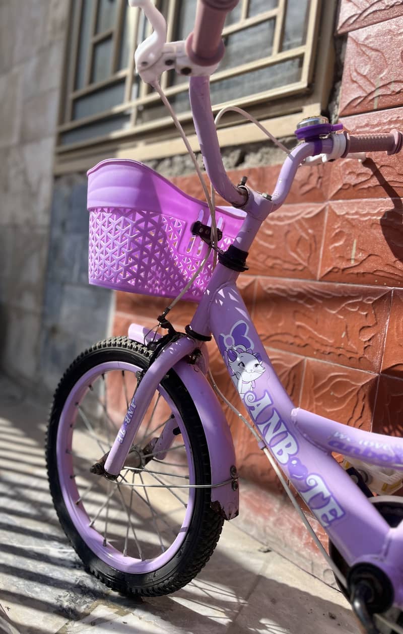 Bicycle 4