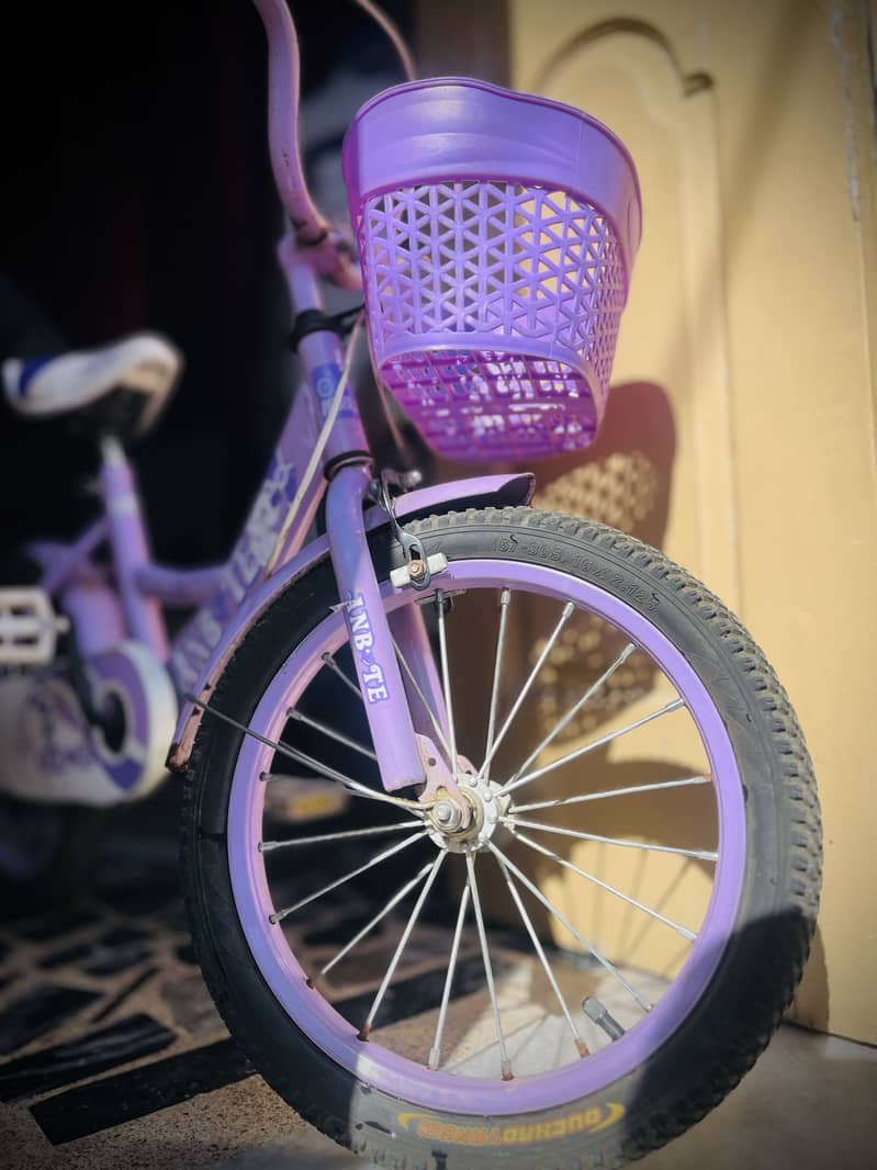 Bicycle 5