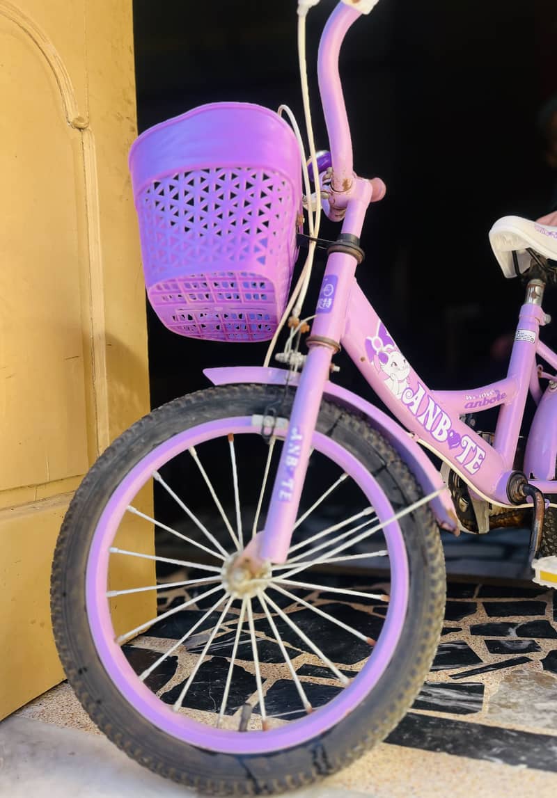 Bicycle 6