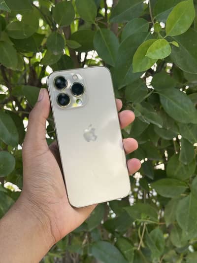 iPhone 13 Pro factory unlock