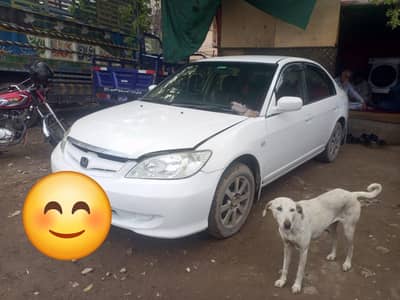 Honda Civic Prosmetic 2005