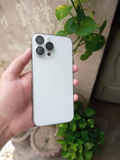 Apple iPhone 13 Pro Max