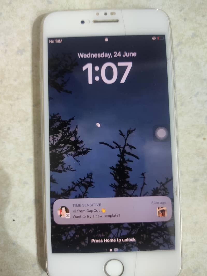 Apple iPhone 8 Plus 0