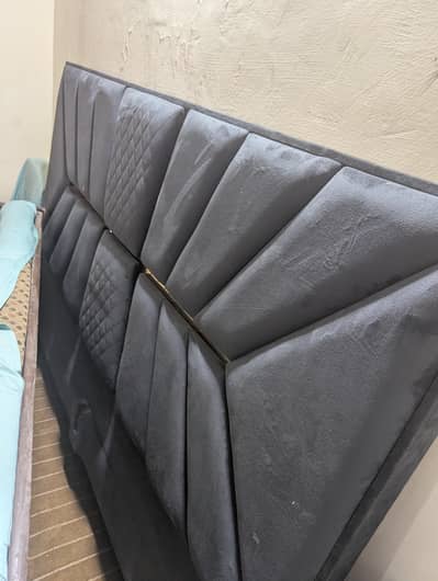 Blue velvet poshish bed
