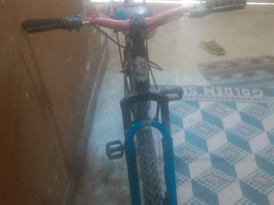 24" cycle