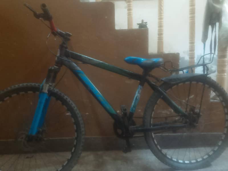 24" cycle 3