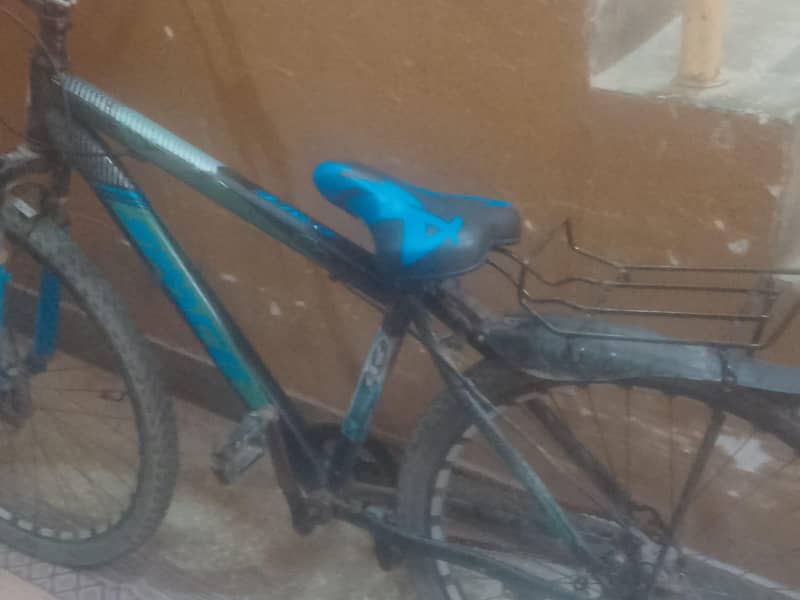 24" cycle 4