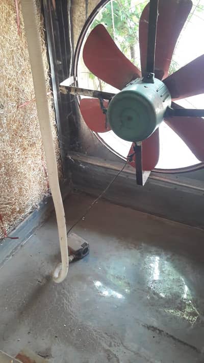 air cooler