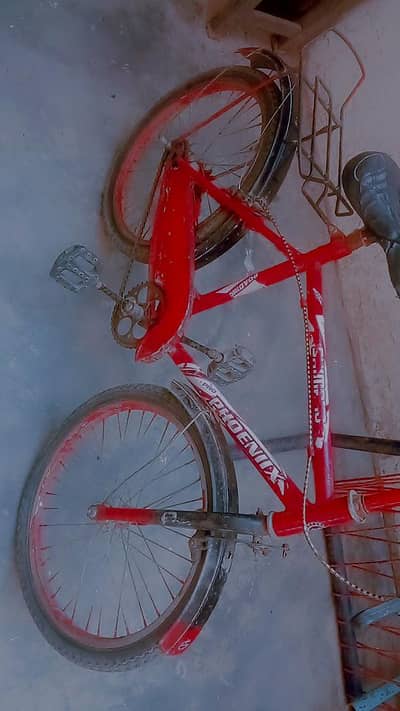 fully phoenix brand cycle