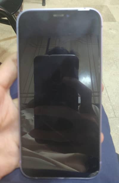 Apple iPhone 12
