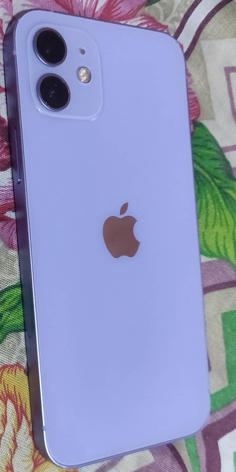 Apple iPhone 12 1