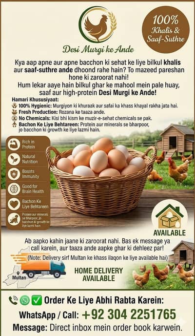 dasi egg