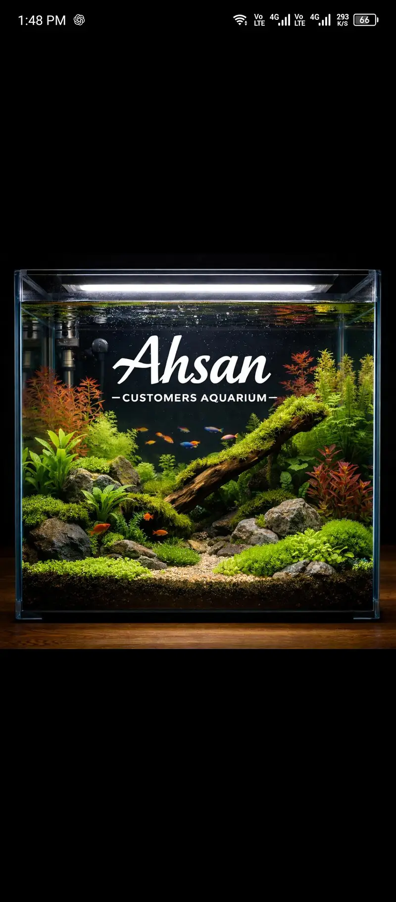 aquarium and fishes and accessories all and all wishes available