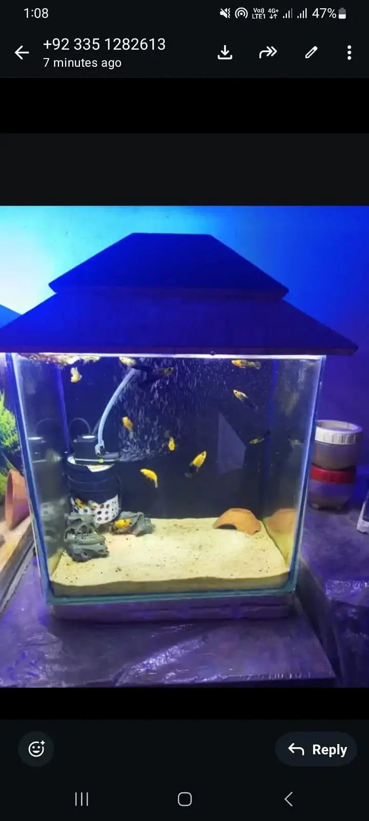 aquarium and fishes and accessories all and all wishes available — photo 12