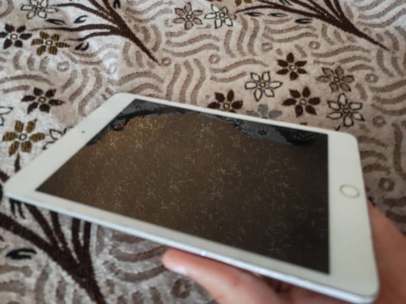ipad MINI 5 3
