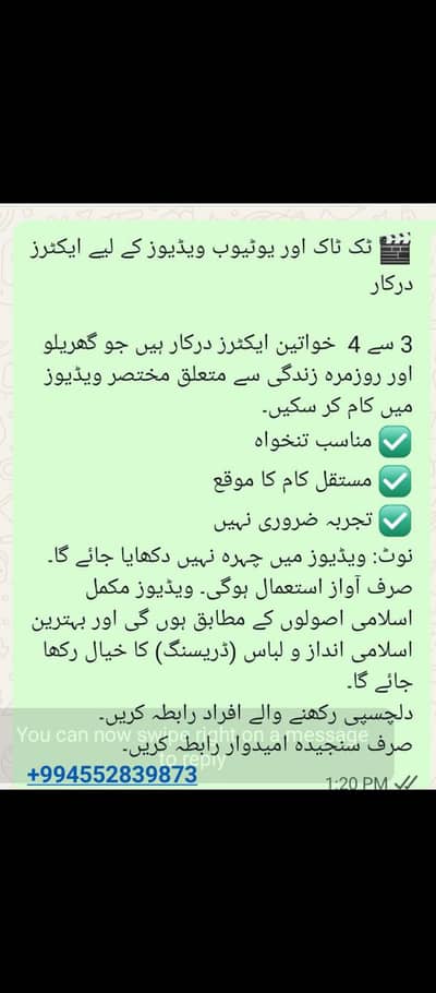 ٹک ٹاک اور یوٹیوب ویڈیوز کے لیے ایکٹرز درکار