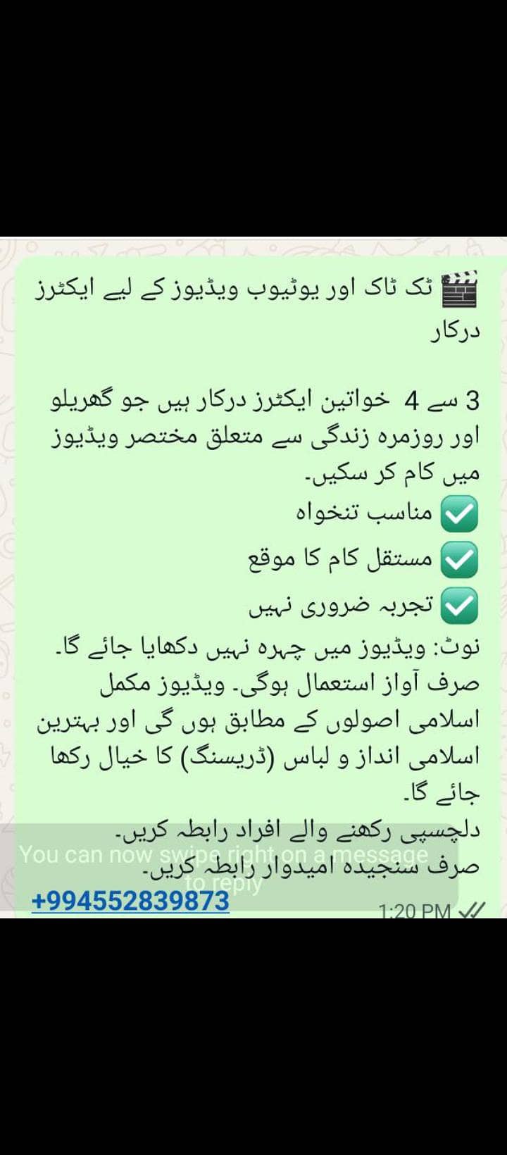 ٹک ٹاک اور یوٹیوب ویڈیوز کے لیے ایکٹرز درکار 1