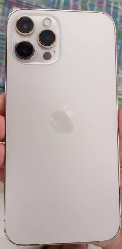 Apple iPhone 12 Pro Max