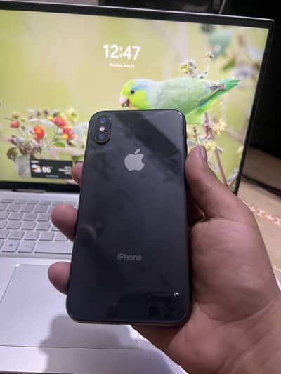 Apple iPhone X
