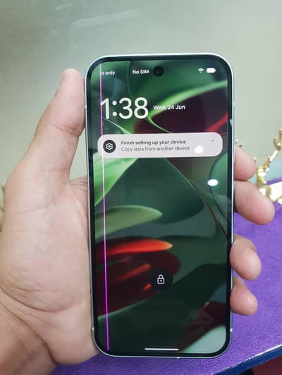 Google Pixel 9 Panel Line