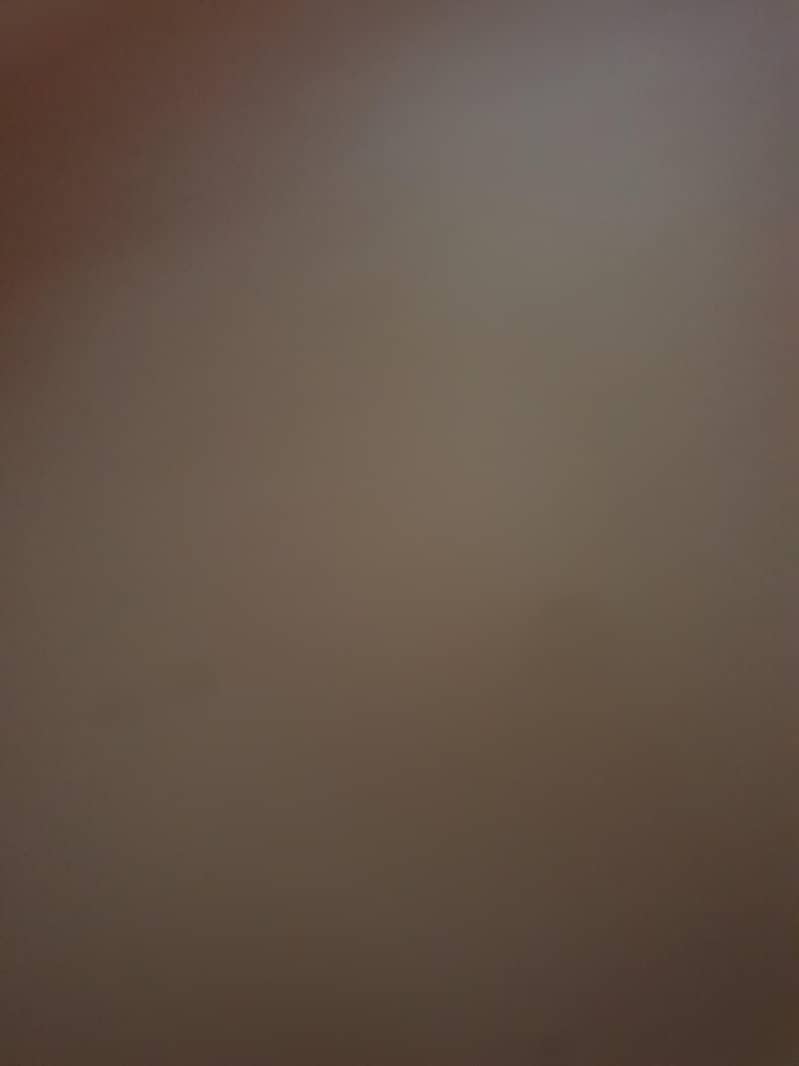 Google Pixel 9 Panel Line 0