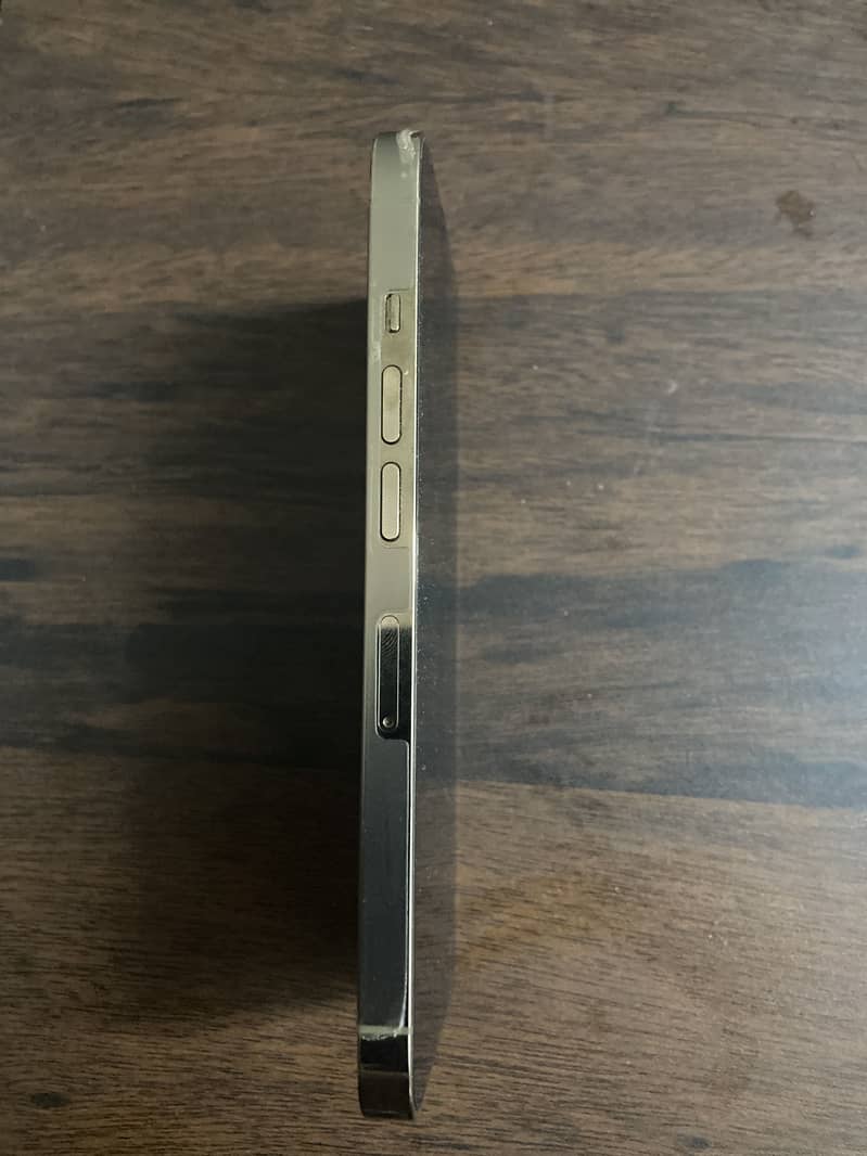 Apple iPhone 13 Pro 1