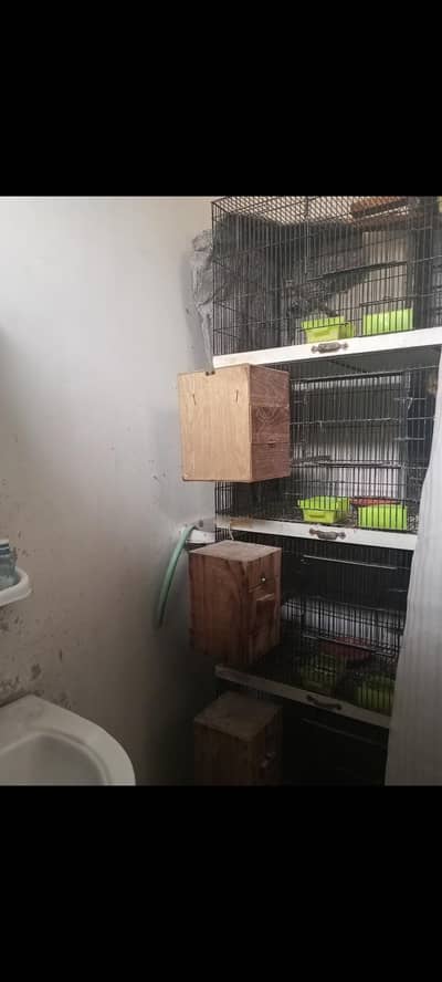 2 cages for sale