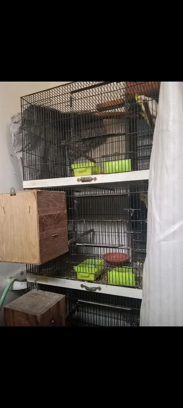 2 cages for sale — photo 2