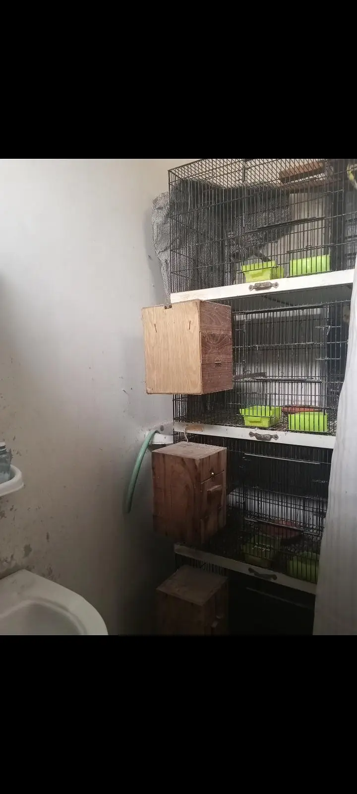 2 cages for sale — photo 3