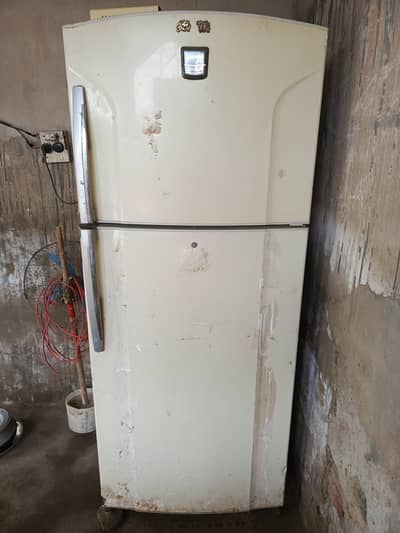 Big Size Freezer With Stabilizer