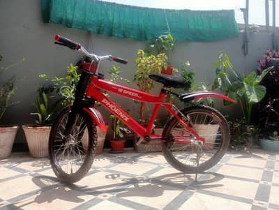 Phoenix frame 20 inch cycle