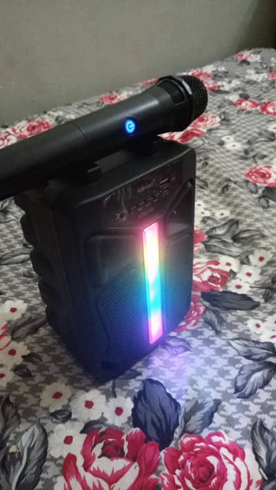 portable wireless speaker