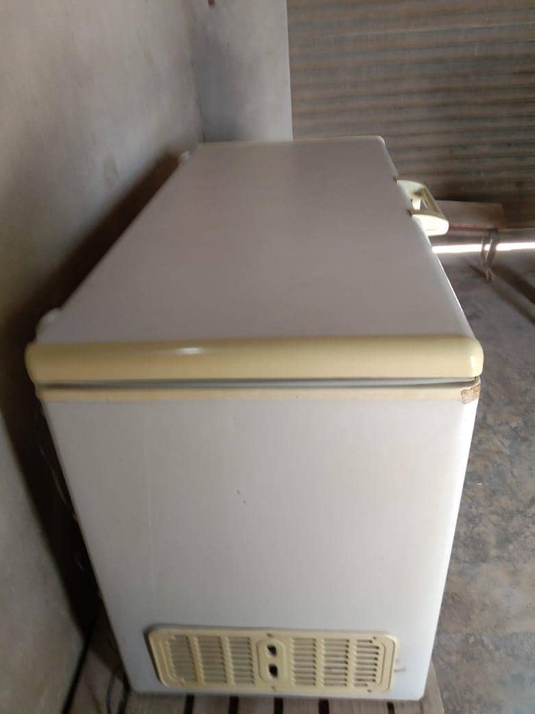 freezer 1